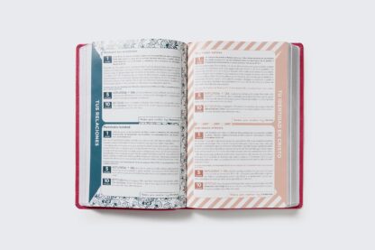 BIBLIA RV1960 MAMA OCUPADA LETRA GRANDE - Image 4