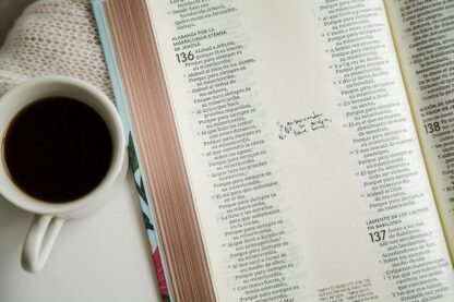 BIBLIA RV1960 ARTISTICA PASTA DURA - Image 2