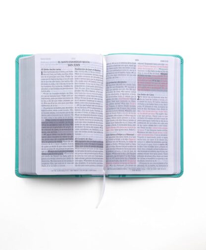 BIBLIA DE PROMESAS RV1960 TURQUEZA - Image 3