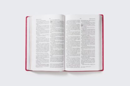BIBLIA RV1960 MAMA OCUPADA LETRA GRANDE - Image 3