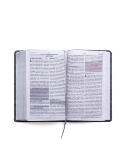 BIBLIA DE PROMESAS RV1960 LETRA GRANDE - Image 10