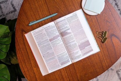 BIBLIA DE PROMESAS NVI PASTA DURA - Image 4