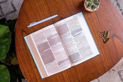 BIBLIA DE PROMESAS NVI PASTA DURA - Image 9