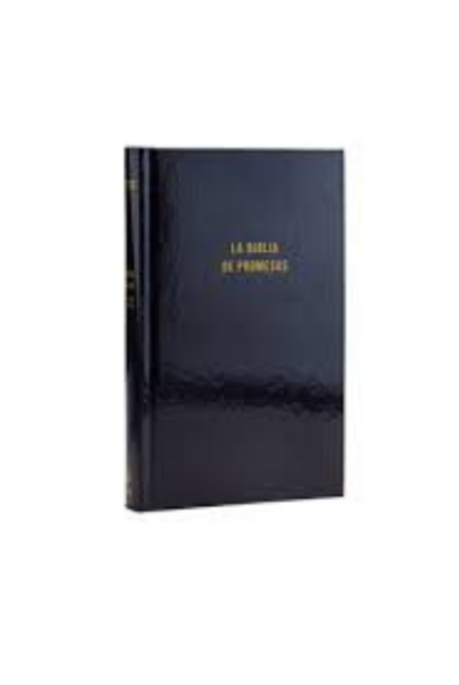 BIBLIA DE PROMESAS NVI PASTA DURA
