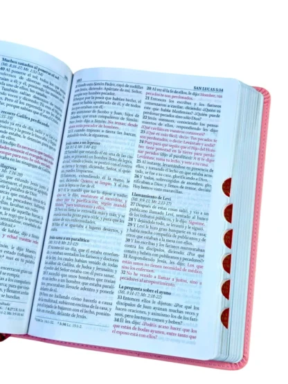 BIBLIA DE ESTUDIO RV1960 TAMAÑO MANUAL - Image 3