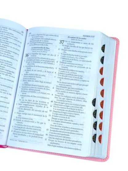 BIBLIA DE ESTUDIO RV1960 TAMAÑO MANUAL - Image 2