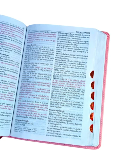 BIBLIA DE ESTUDIO RV1960 TAMAÑO MANUAL - Image 5