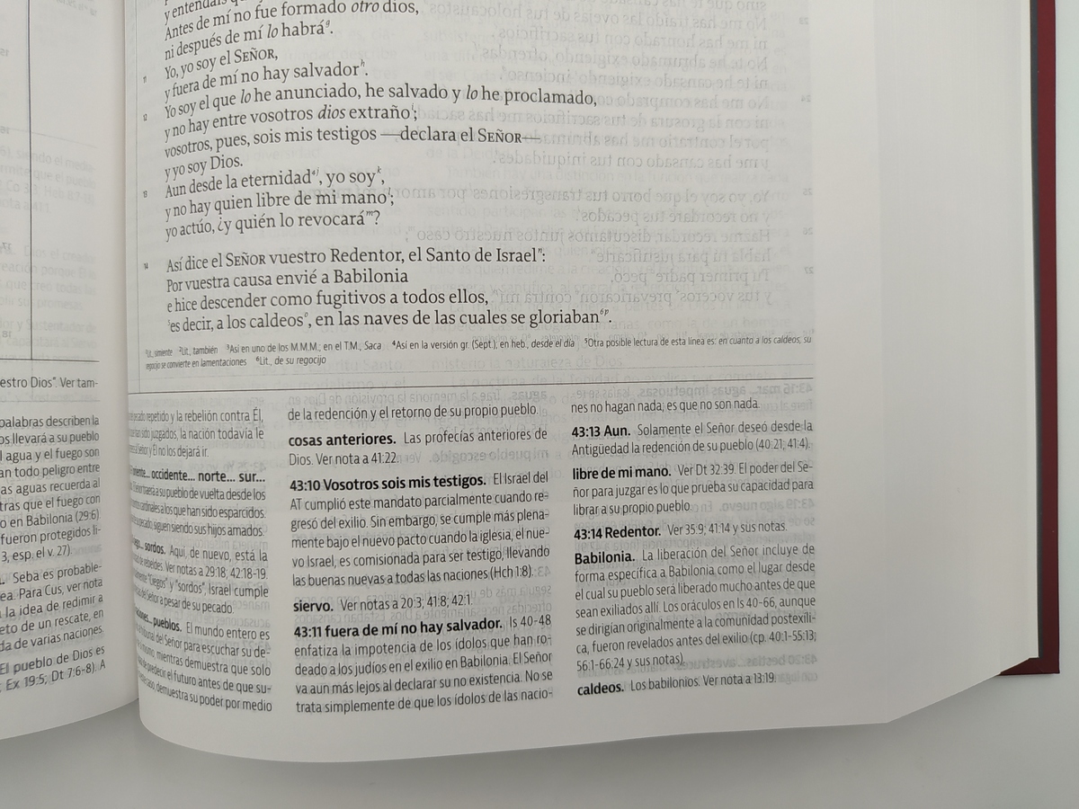 BIBLIA DE ESTUDIO DE LA REFORMA LBLA - Image 6