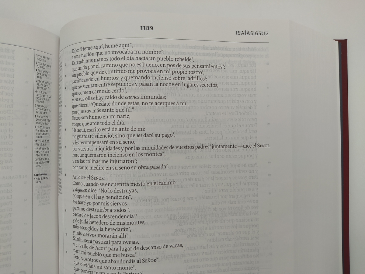 BIBLIA DE ESTUDIO DE LA REFORMA LBLA - Image 5