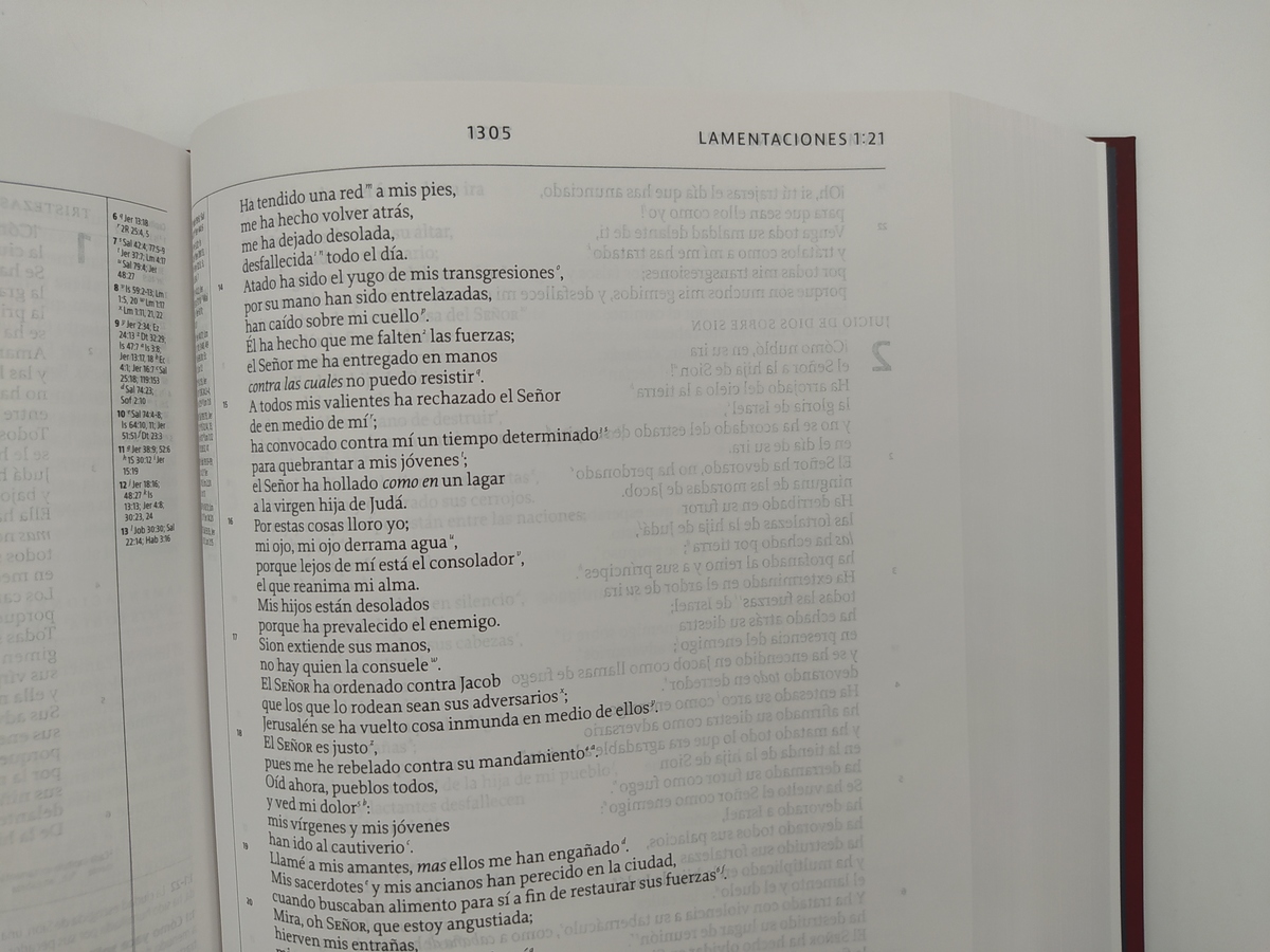 BIBLIA DE ESTUDIO DE LA REFORMA LBLA - Image 4