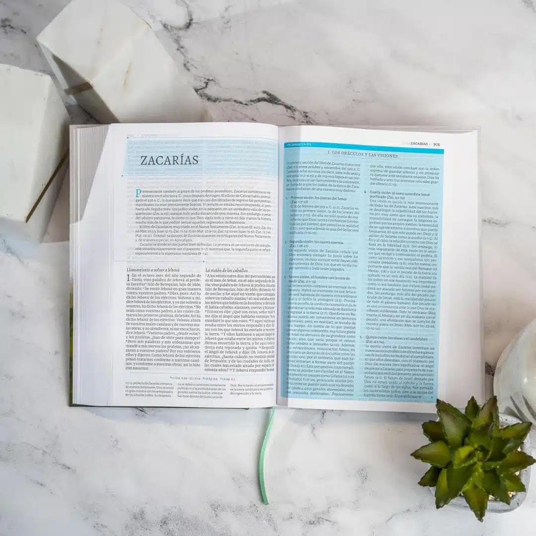 BIBLIA DE ESTUDIO DE CESAR VIDAL RV60 TAPA DURA - Image 4