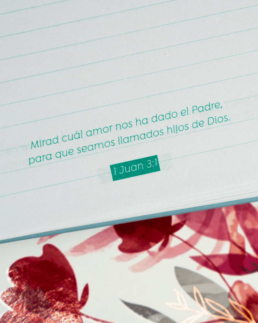 LIBRETA DE RESORTES AMADA - Image 3