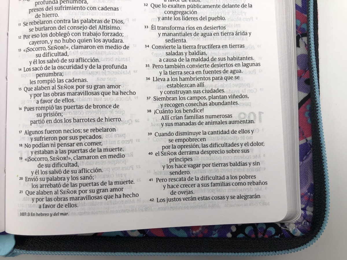 BIBLIA NTV CON CIERRE TAMAÑO BOLSILLO - Image 4