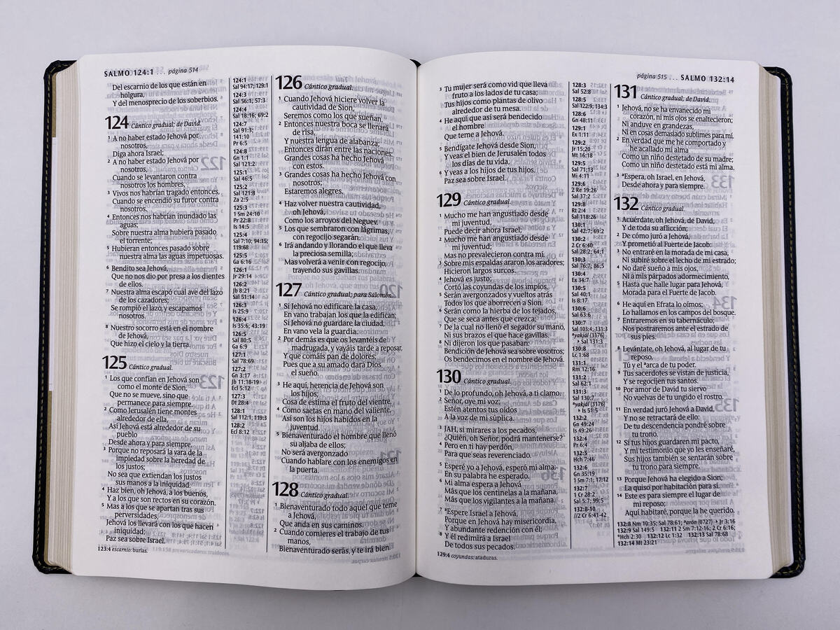 BIBLIA RV1960 ULTRAFINA LETRA GRANDE NEGRA - Image 5