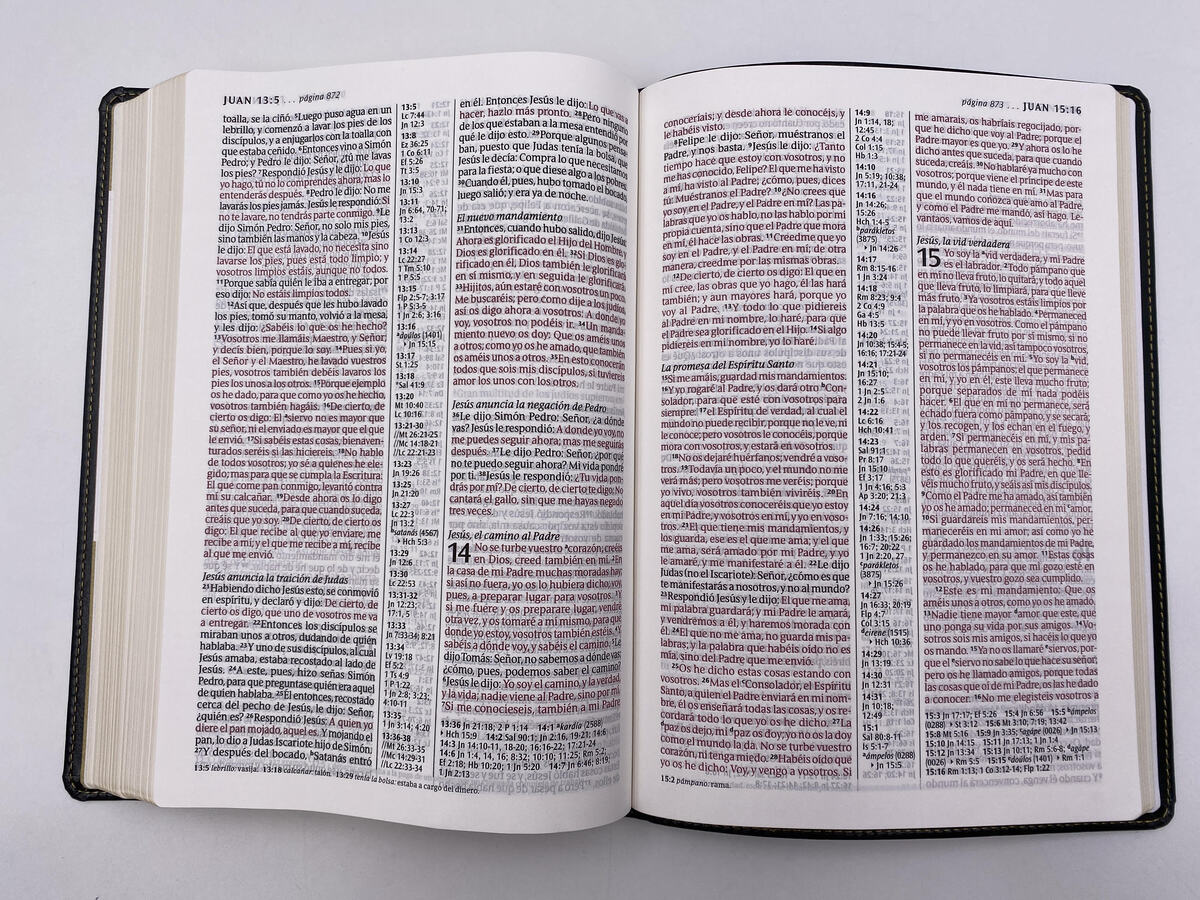 BIBLIA RV1960 ULTRAFINA LETRA GRANDE VINO - Image 7