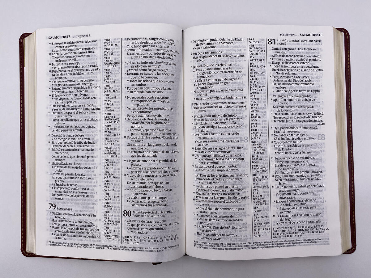 BIBLIA RV1960 ULTRAFINA LETRA GRANDE VINO - Image 3