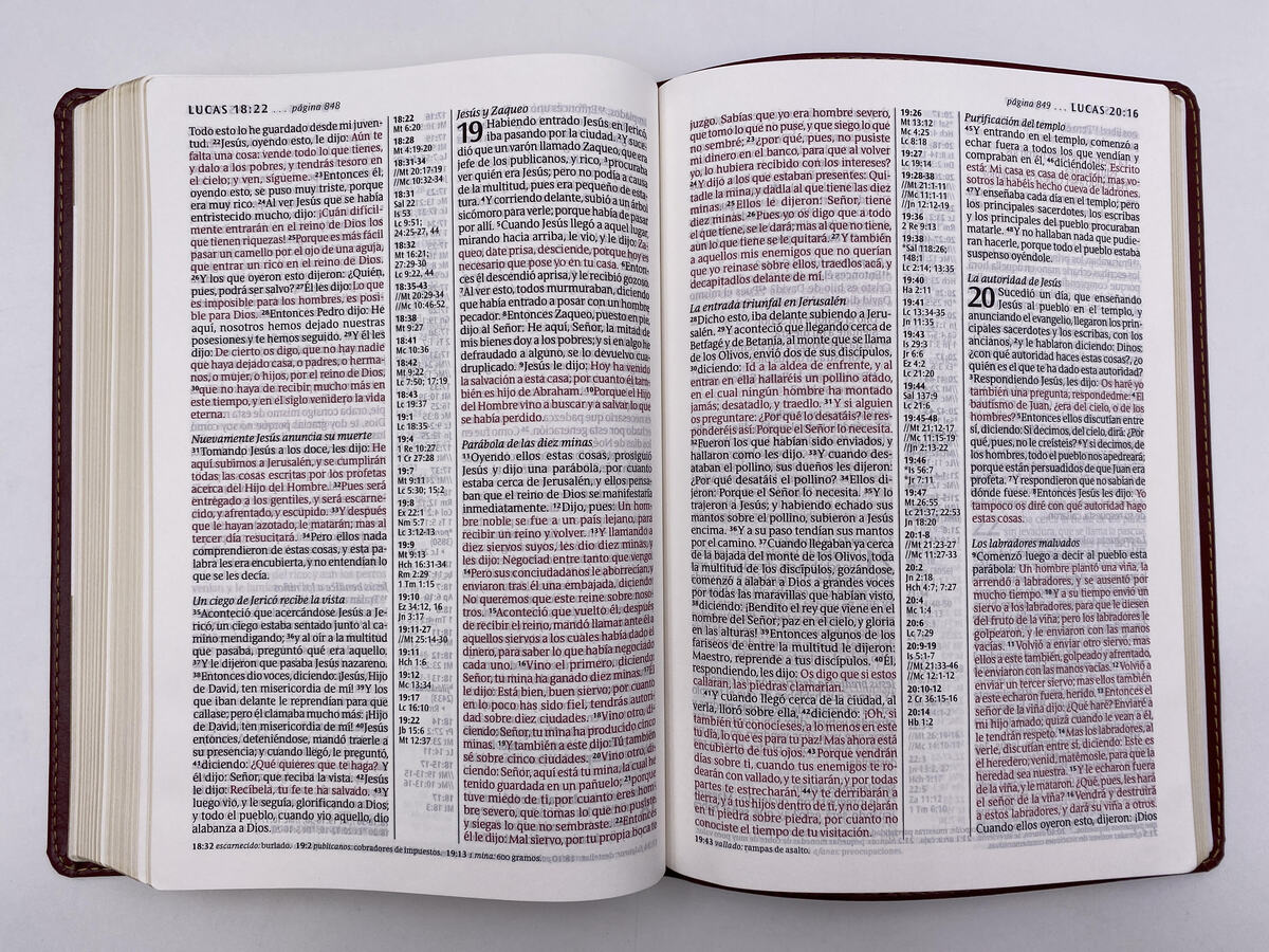 BIBLIA RV1960 ULTRAFINA LETRA GRANDE VINO - Image 2