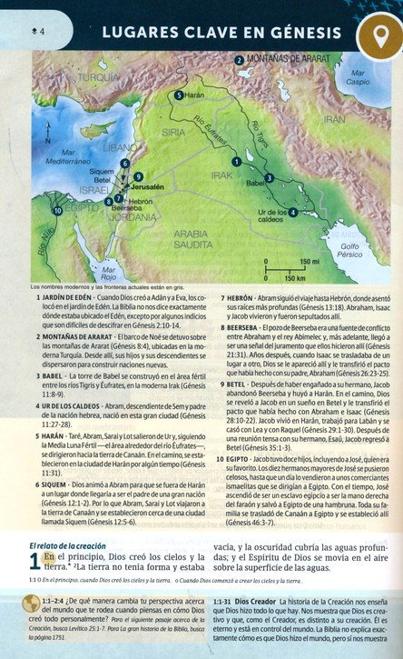 BIBLIA DE ESTUDIO NTV DIARIO VIVIR JOVENES - Image 10