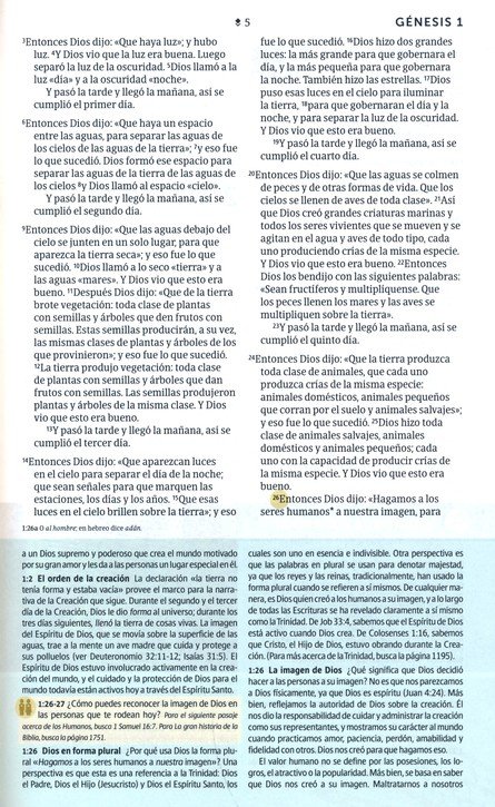 BIBLIA DE ESTUDIO NTV DIARIO VIVIR JOVENES - Image 9