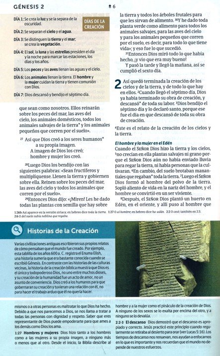 BIBLIA DE ESTUDIO NTV DIARIO VIVIR JOVENES - Image 8