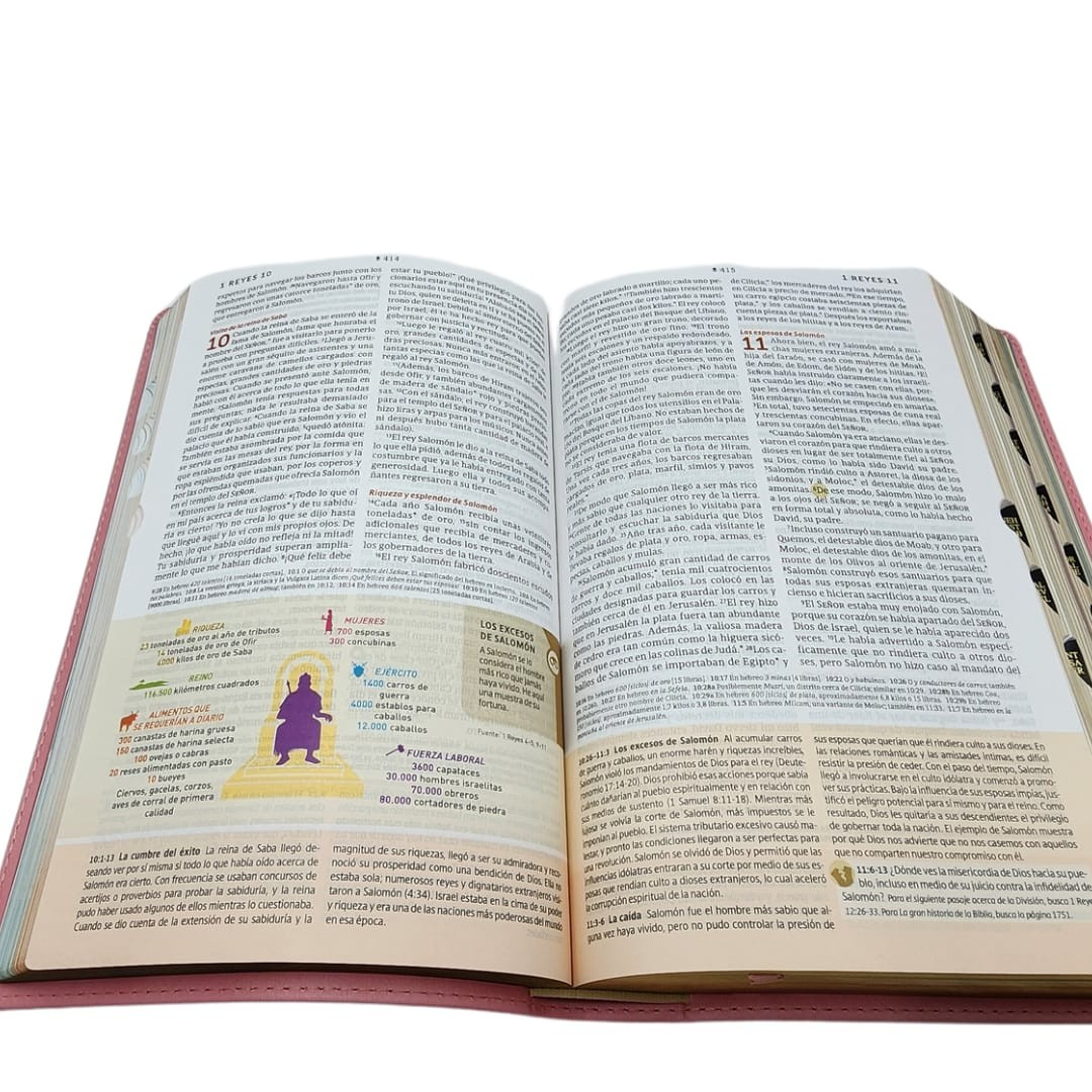 BIBLIA DE ESTUDIO NTV DIARIO VIVIR JOVENES - Image 3