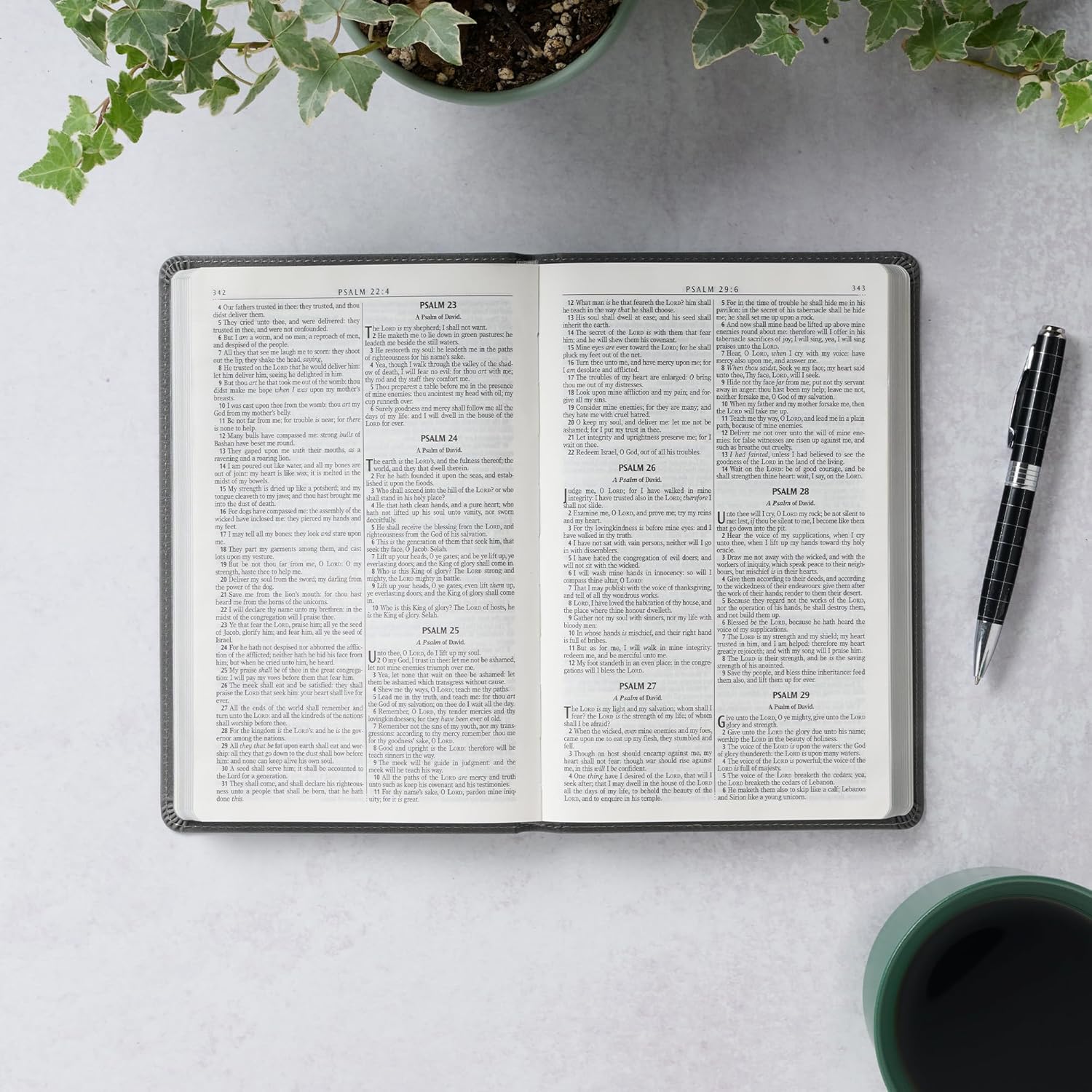 BIBLIA KJV EN INGLES LEON GRIS - Image 3