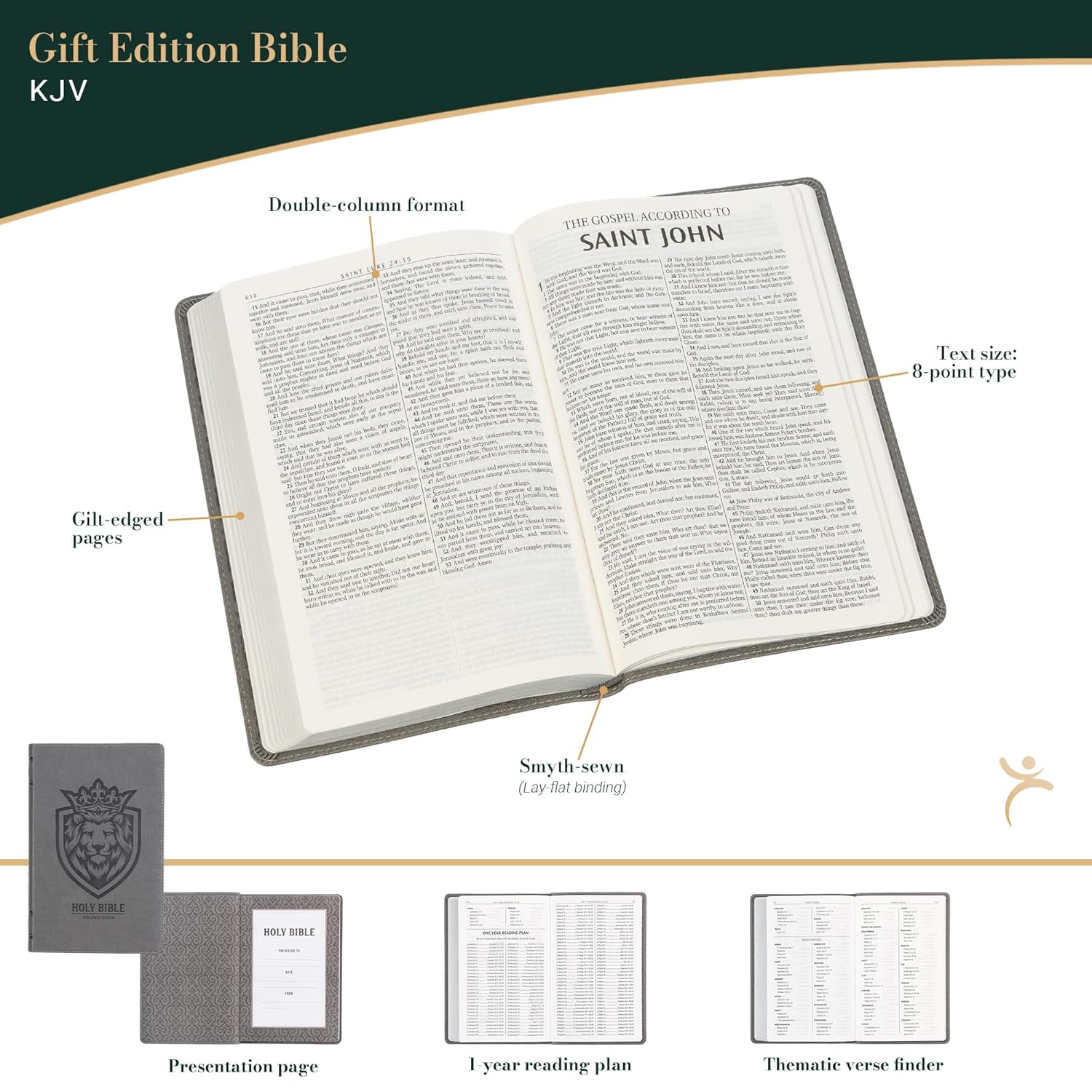 BIBLIA KJV EN INGLES LEON GRIS - Image 2