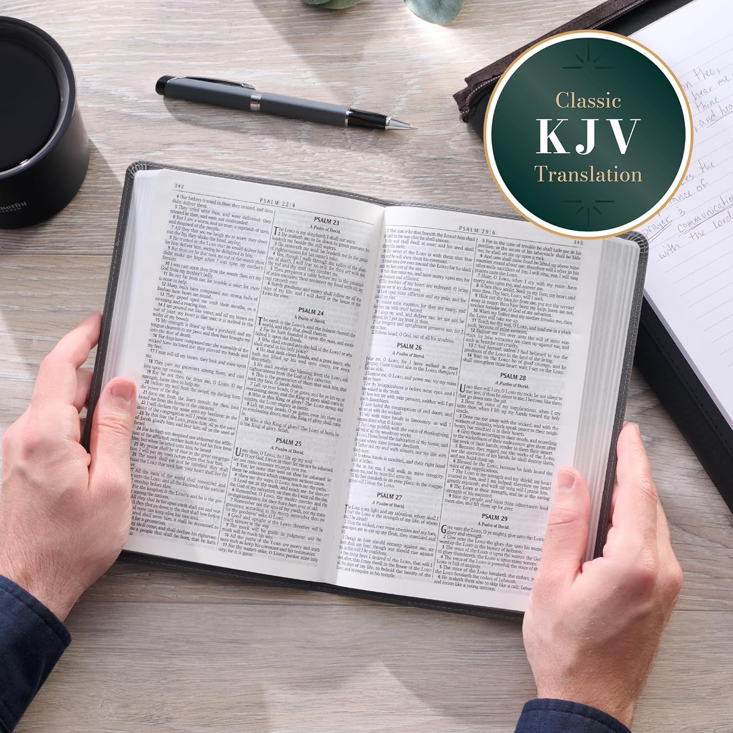 BIBLIA KJV EN INGLES LEON GRIS - Image 4