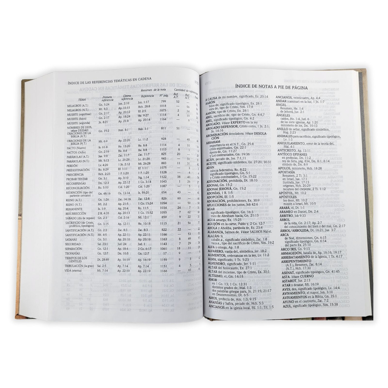 BIBLIA DE ESTUDIO PLENITUD RV1960 PASTA DURA - Image 7