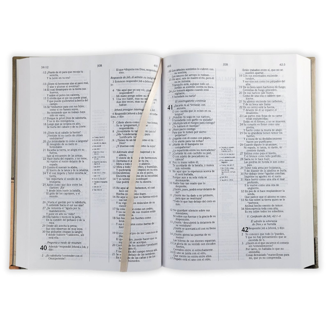 BIBLIA DE ESTUDIO PLENITUD RV1960 PASTA DURA - Image 6