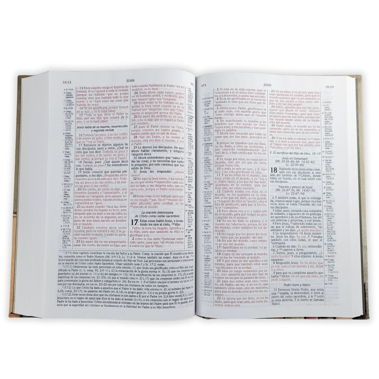 BIBLIA DE ESTUDIO PLENITUD RV1960 PASTA DURA - Image 5