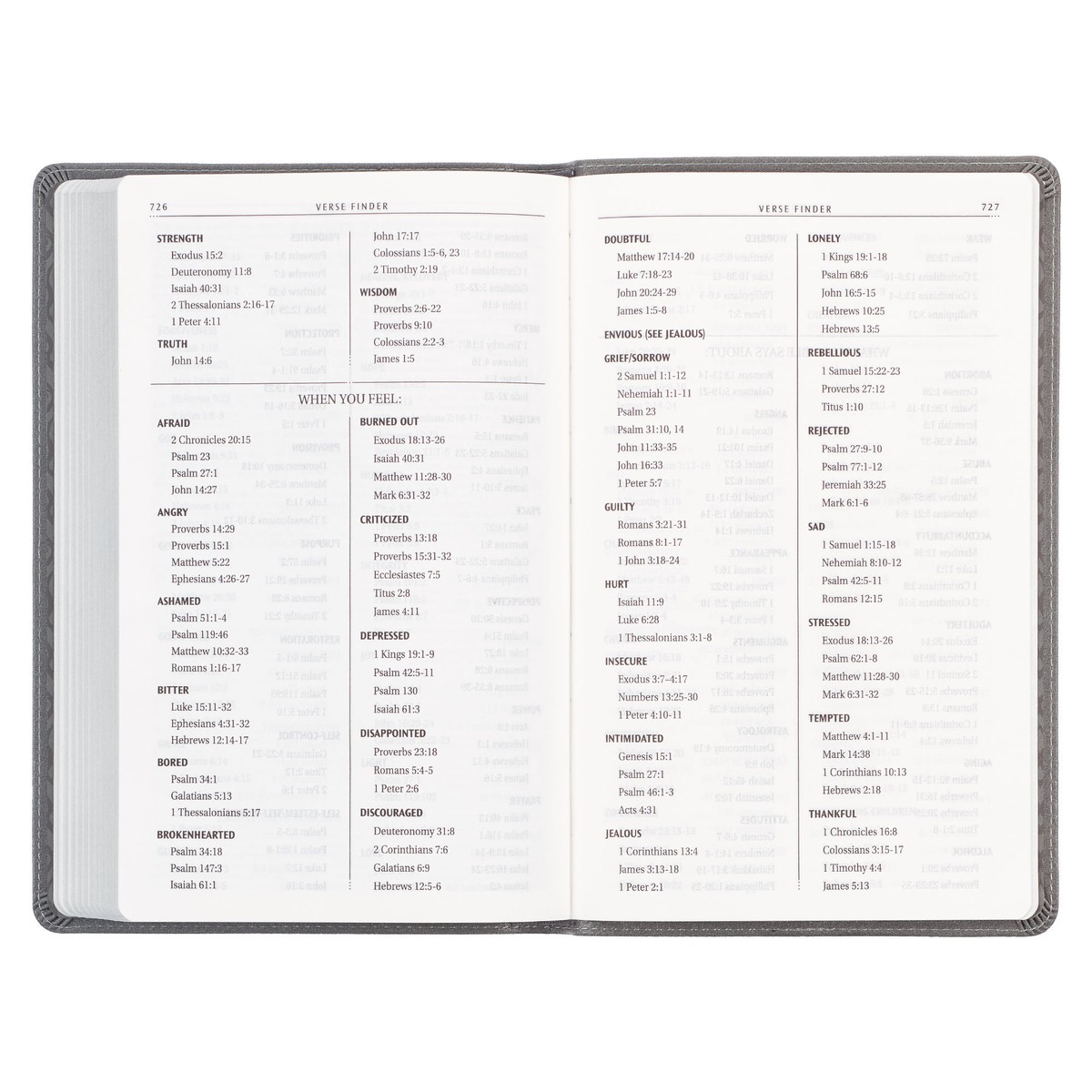 BIBLIA KJV EN INGLES LEON GRIS - Image 5