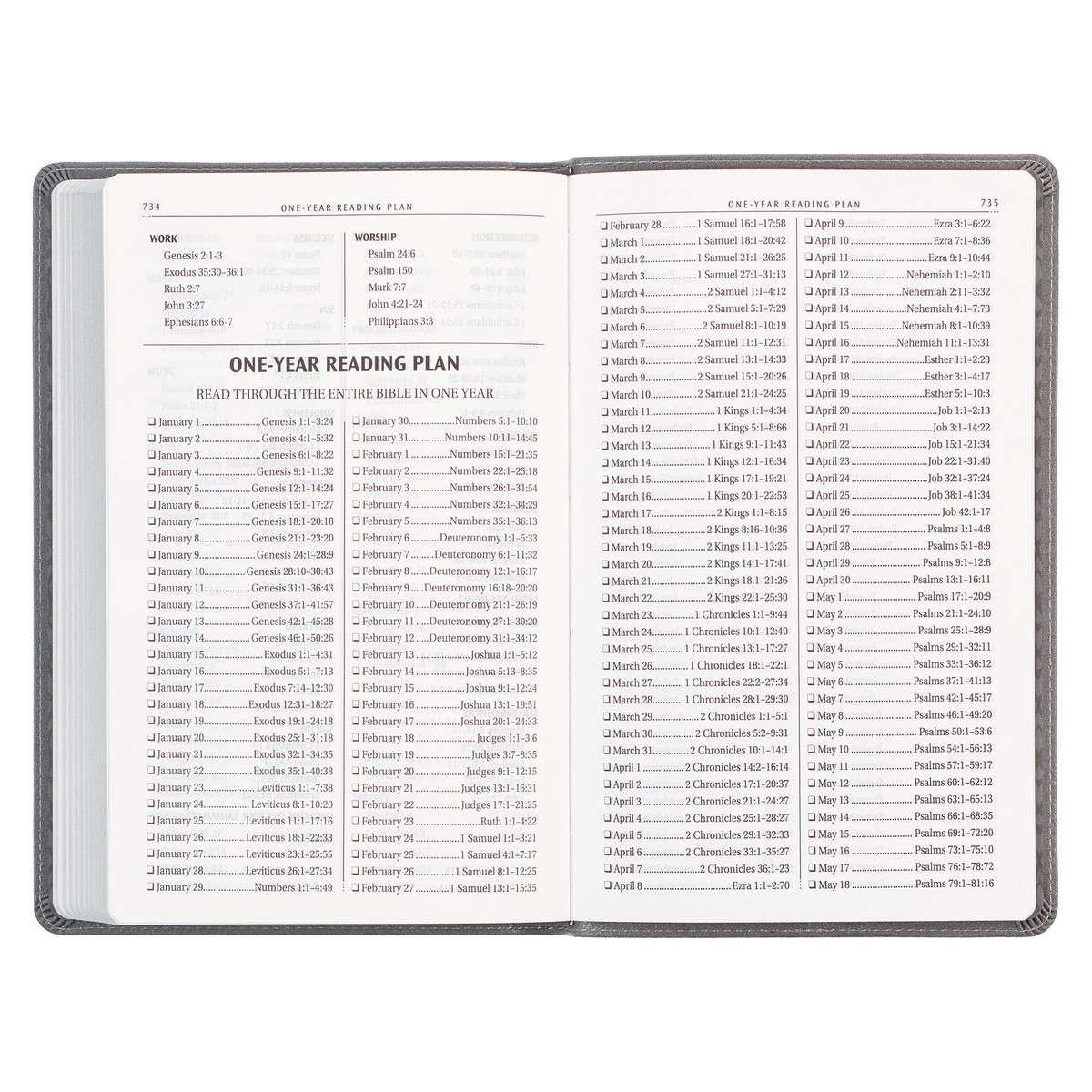 BIBLIA KJV EN INGLES LEON GRIS - Image 6