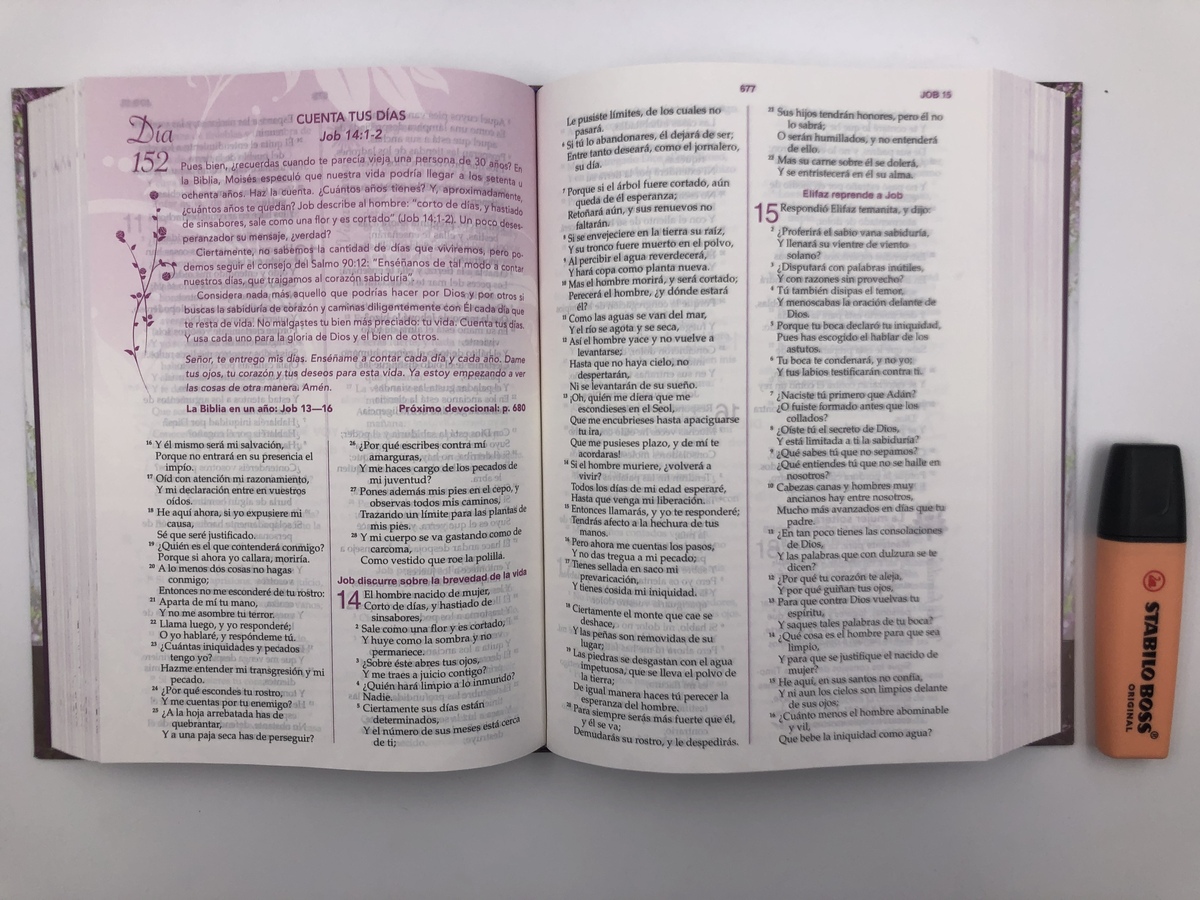 BIBLIA MUJER CONFORME AL CORAZON DE DIOS TD - Image 9