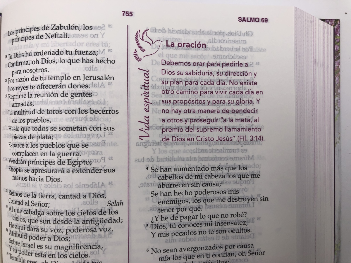 BIBLIA MUJER CONFORME AL CORAZON DE DIOS TD - Image 8