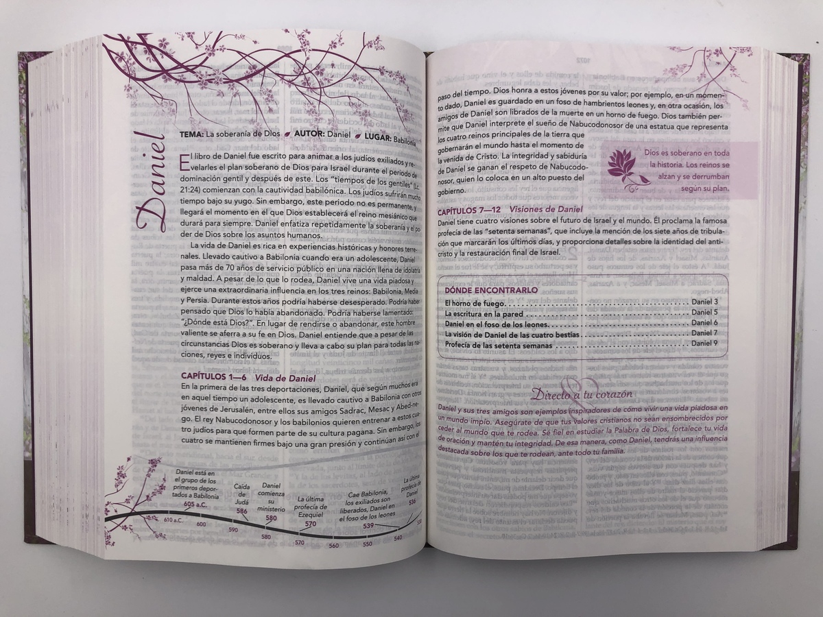 BIBLIA MUJER CONFORME AL CORAZON DE DIOS TD - Image 5