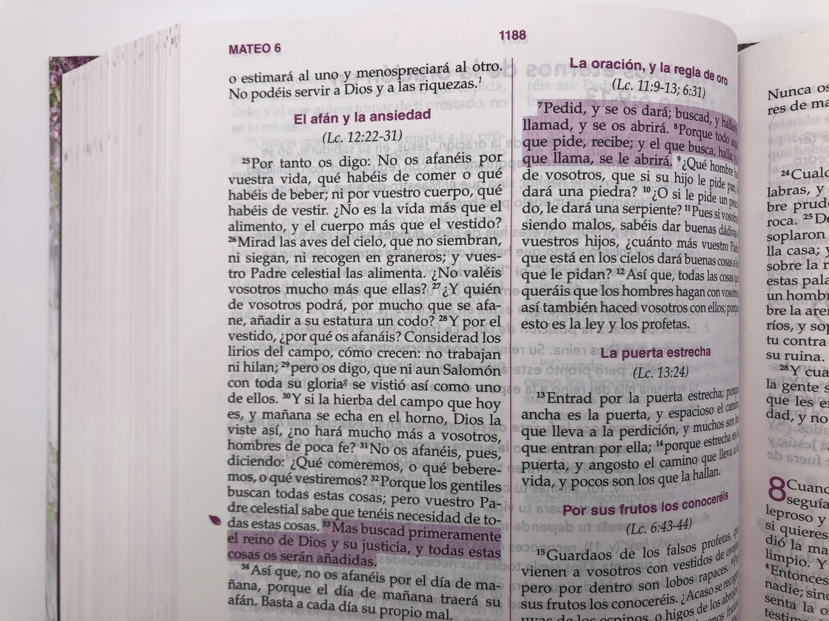 BIBLIA MUJER CONFORME AL CORAZON DE DIOS TD - Image 4