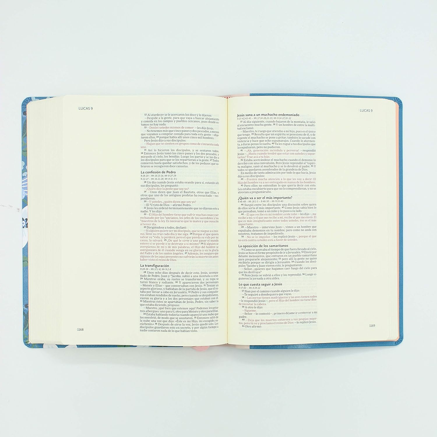 BIBLIA NVI ILUSTRA TU FE AZUL FLORAL - Image 2