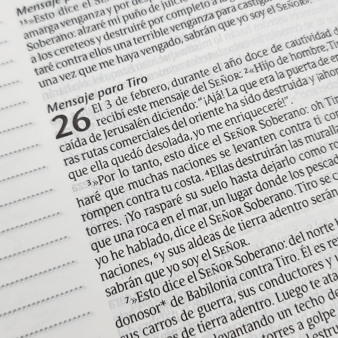 BIBLIA NTV INSPIRA RAMO AZUL LETRA GRANDE - Image 6