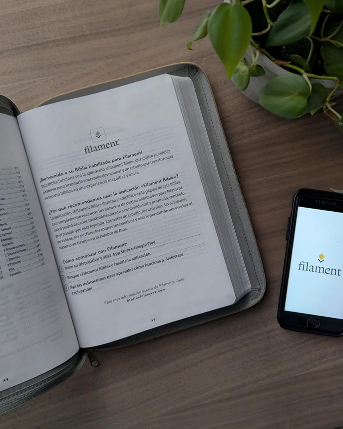 BIBLIA NTV LETRA GRANDE GRIS CON CIERRE - Image 2