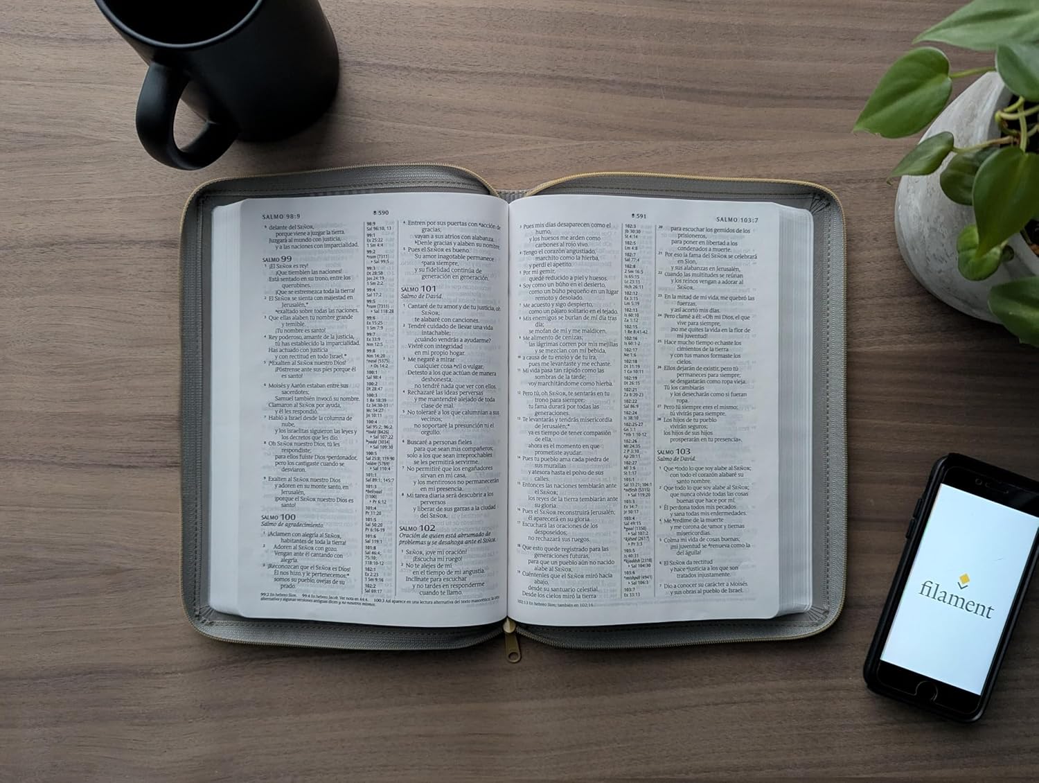 BIBLIA NTV LETRA GRANDE GRIS CON CIERRE - Image 3