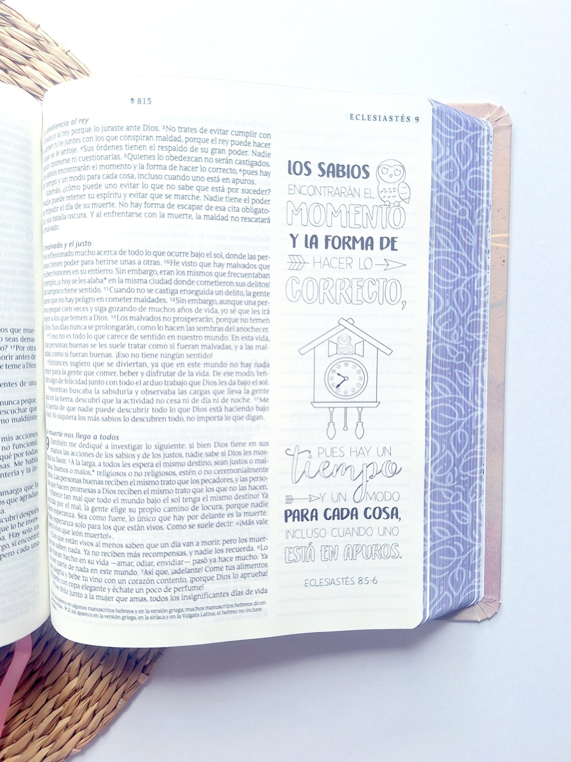 BIBLIA NTV INSPIRA ACUARELA ROSA - Image 6