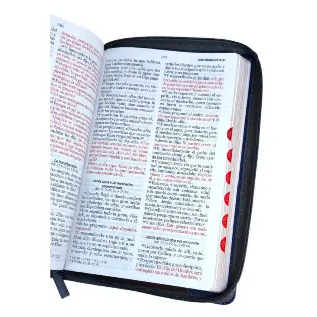 BIBLIA RV1960 LETRA GRANDE CON CIERRE - Image 3