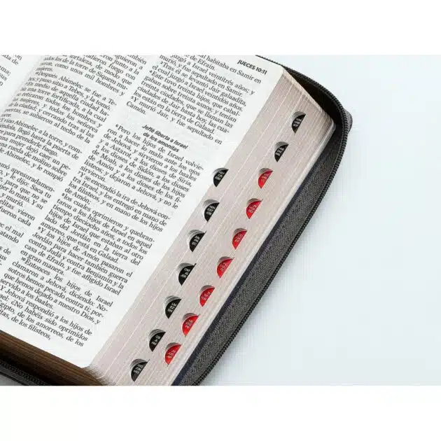 BIBLIA RV1960 LETRA GRANDE CON CIERRE - Image 4