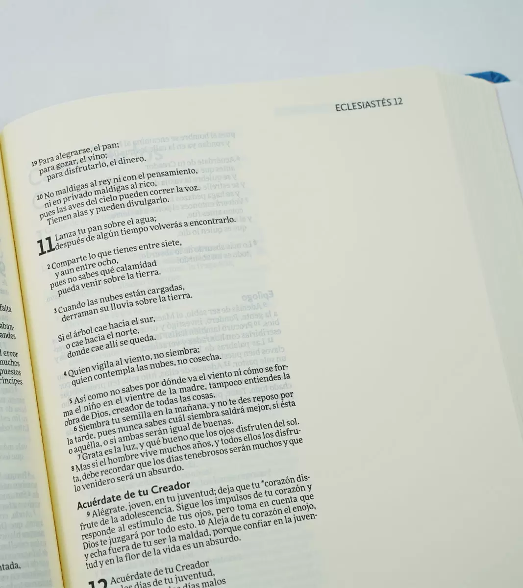 BIBLIA NVI ILUSTRA TU FE AZUL FLORAL - Image 5