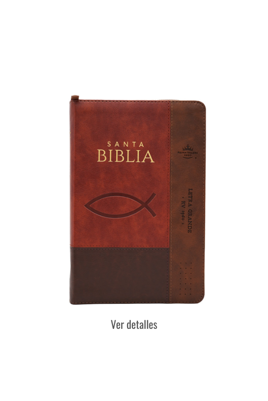 BIBLIA RV1960 LETRA GRANDE CON CIERRE