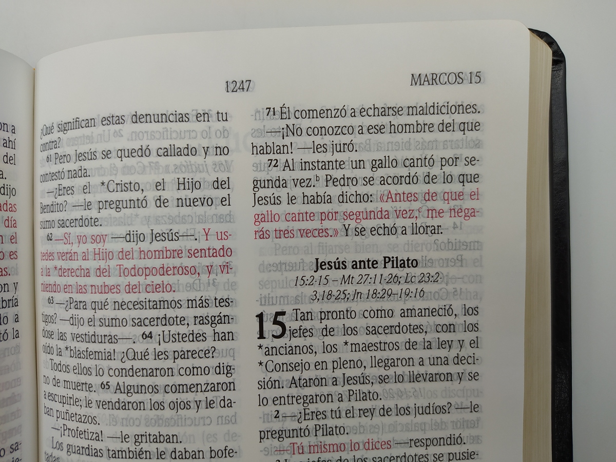 BIBLIA NVI LETRA GRANDE PASTA FLEXIBLE - Image 2
