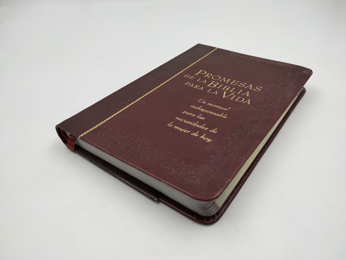 DEVOCIONAL PROMESAS DE LA BIBLIA - Image 4