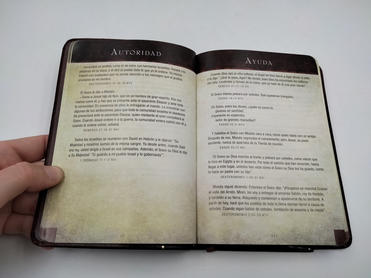 DEVOCIONAL PROMESAS DE LA BIBLIA - Image 3