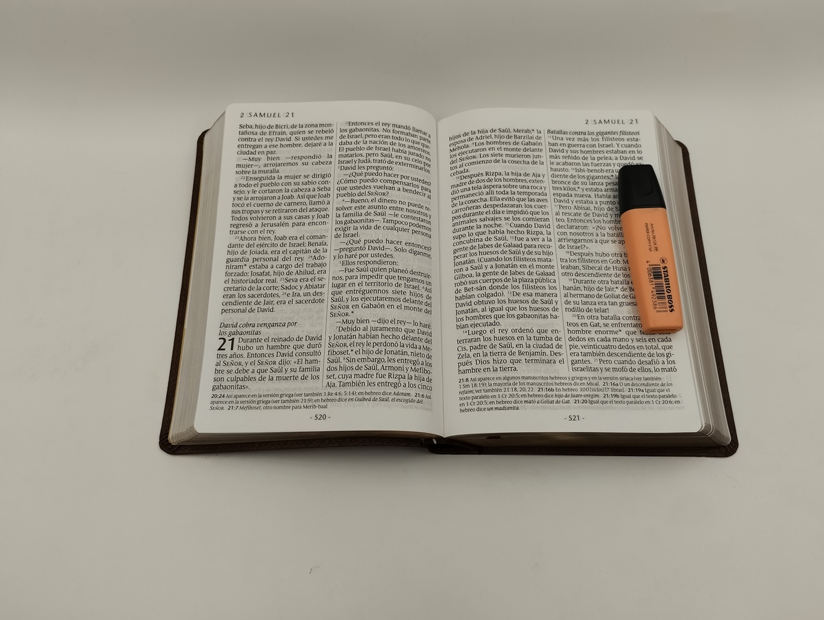 BIBLIA NTV LETRA GIGANTE COLOR CAFE - Image 3